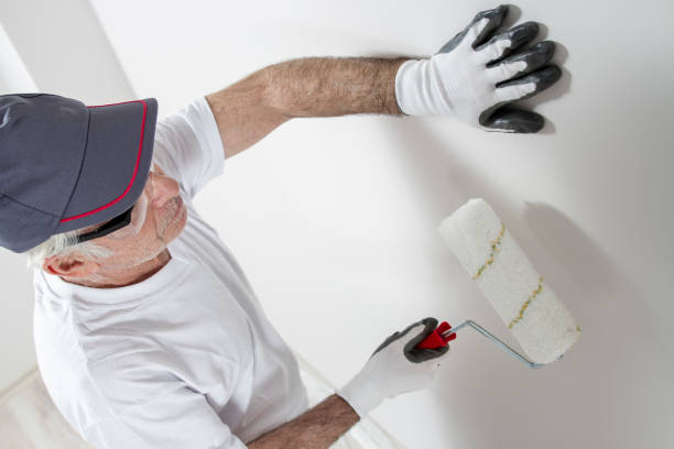 Best Mold Remediation for Healthcare Facilities  in North Myrtle Beach, SC