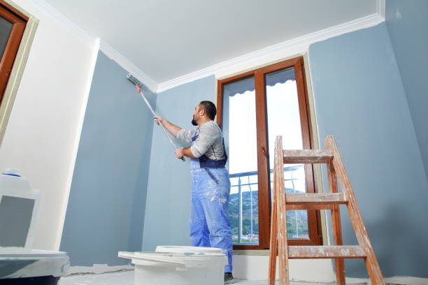 Best Attic Mold Removal  in North Myrtle Beach, SC