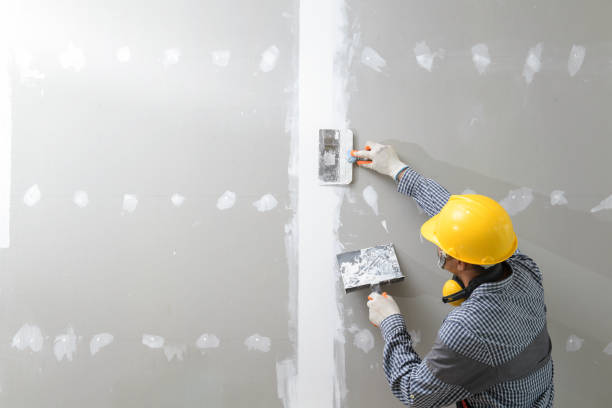 Best Mold Prevention Services  in North Myrtle Beach, SC