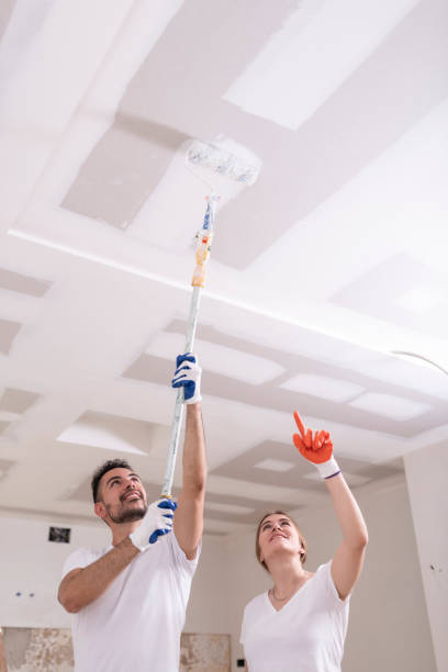 Best Mold Removal for HVAC Installations  in North Myrtle Beach, SC