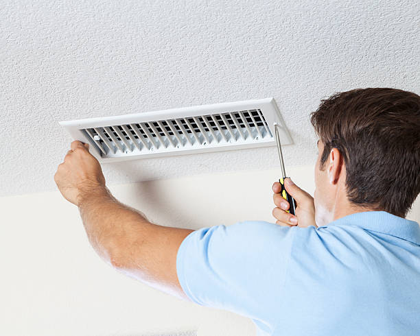Best Crawl Space Mold Remediation  in North Myrtle Beach, SC