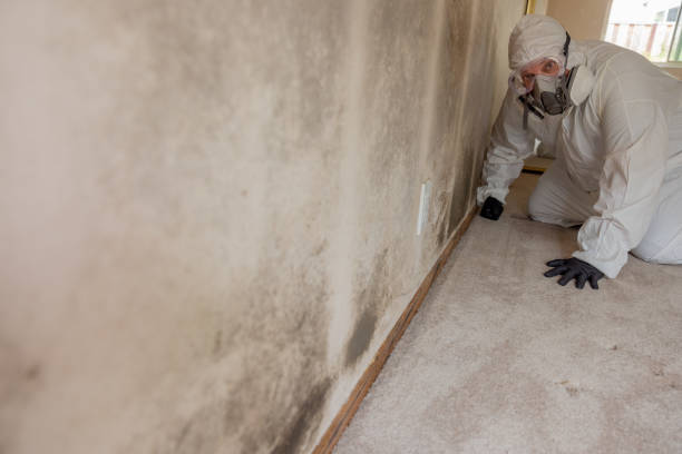 Best Air Quality Testing for Mold Spores  in North Myrtle Beach, SC
